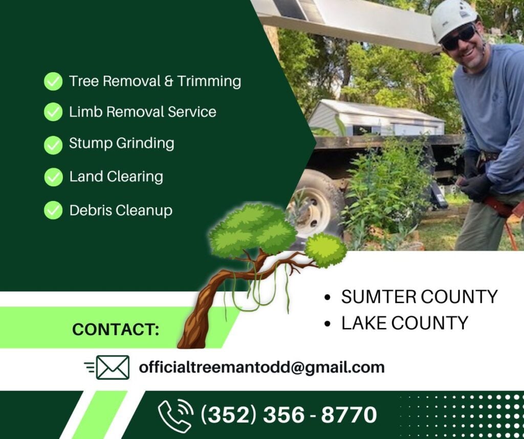 Tree Removal and Trimming
Limb Removal Service
Stump Grinding
Land Clearing
Debris Cleanup